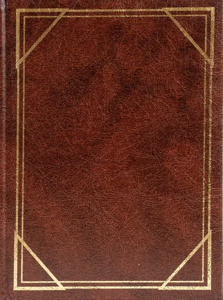 Fotoalbum B-35200S Vinyl 2 hnědé