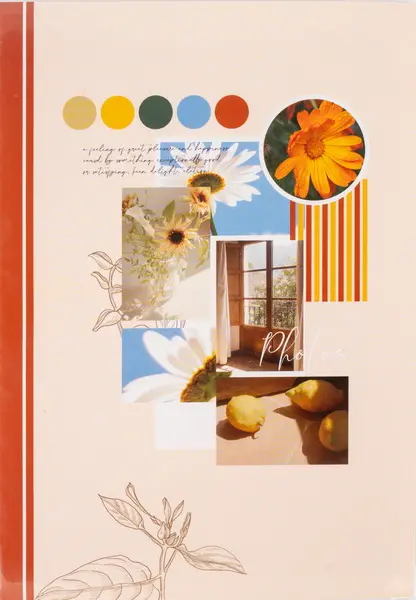 Fotoalbum P2-4624 Moments mix