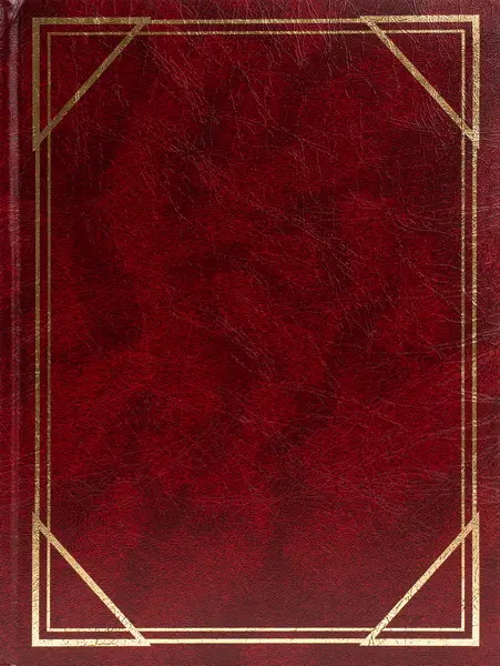 Fotoalbum B-46200S Vinyl 1 vínové