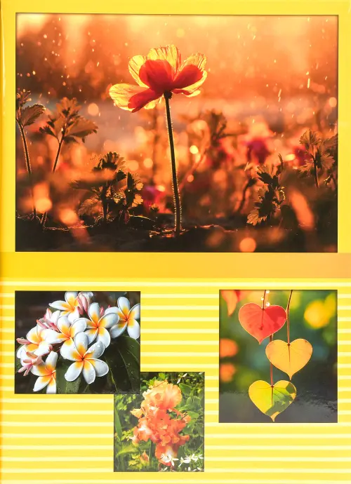 Fotoalbum B-46100/2S Dusk 1