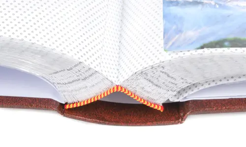 Fotoalbum B-46300/2S Vinyl 2 hnědé