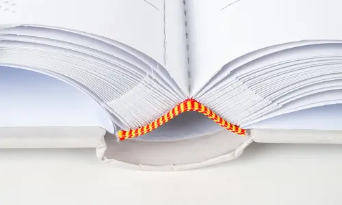 Fotoalbum KD-46200W Rose